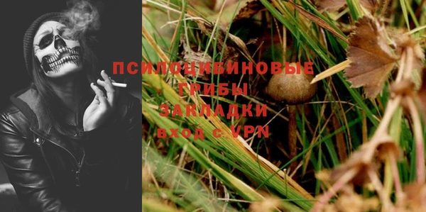 apvp Абинск