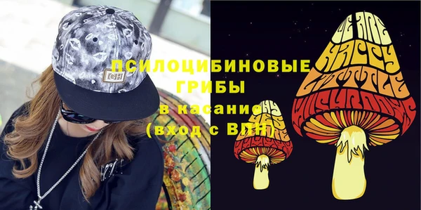 бошки Алексин